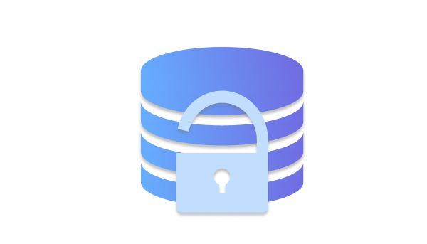 Database mit Schloss (1)